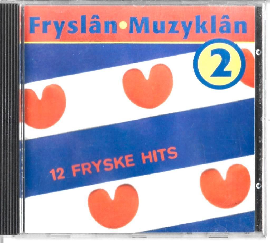 CD: Diverse Artiesten - Fryslan Muzyklan 2, Cd's en Dvd's, Ophalen of Verzenden, Zo goed als nieuw, Pop