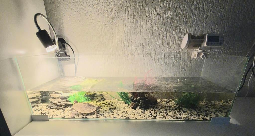 Aquarium, Ophalen