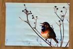 Wanddoek Blauwborst Katoen 90x60 cm - Vogel Decoratie, Ophalen of Verzenden, Zo goed als nieuw