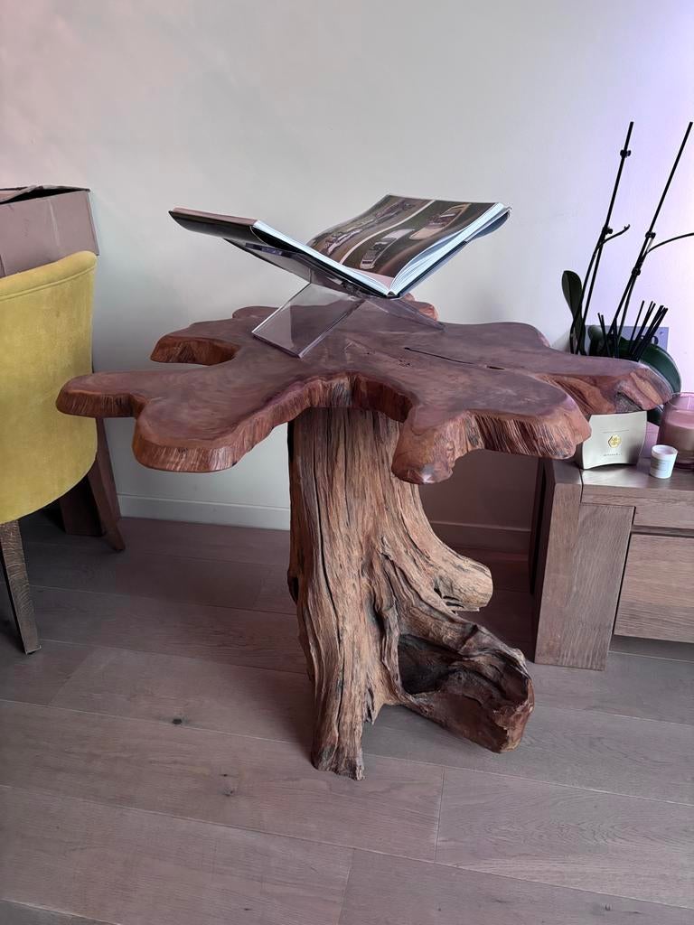 Unieke boomstam bijzettafel, Huis en Inrichting, Tafels | Bijzettafels, Gebruikt, 55 tot 75 cm, Overige vormen, Hout