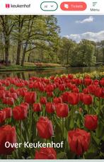 Toegangskaarten Keukenhof + busrit (vanaf diverse locaties), Tickets en Kaartjes, Kortingen en Cadeaubonnen, Twee personen, Overige soorten
