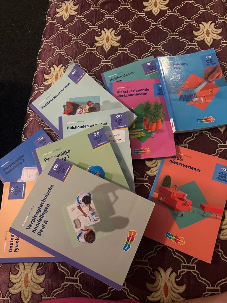 ThiemeMeulenhoff Traject VEV boeken (diverse niveaus), Ophalen of Verzenden, Gamma, Gelezen, MBO