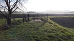 Te huur: weide met schuilstal, Dieren en Toebehoren, Weidegang, 4 paarden of pony's of meer