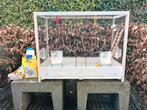 Parkietenkooi 75.-€, Dieren en Toebehoren, Knaagdieren en Konijnen | Hokken en Kooien, Kooi, 60 tot 90 cm, Ophalen of Verzenden