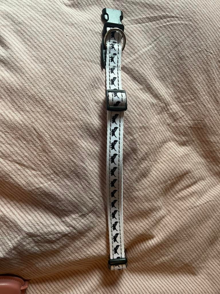 Honden halsband, Dieren en Toebehoren, Ophalen of Verzenden, Zo goed als nieuw