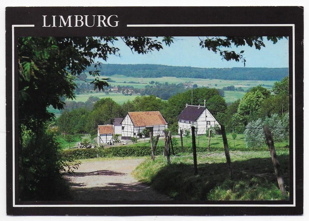 Limburg Gelopen Ansichtkaart ( B6175 ), Verzamelen, Ansichtkaarten | Nederland, Ophalen of Verzenden, 1980 tot heden, Gelopen