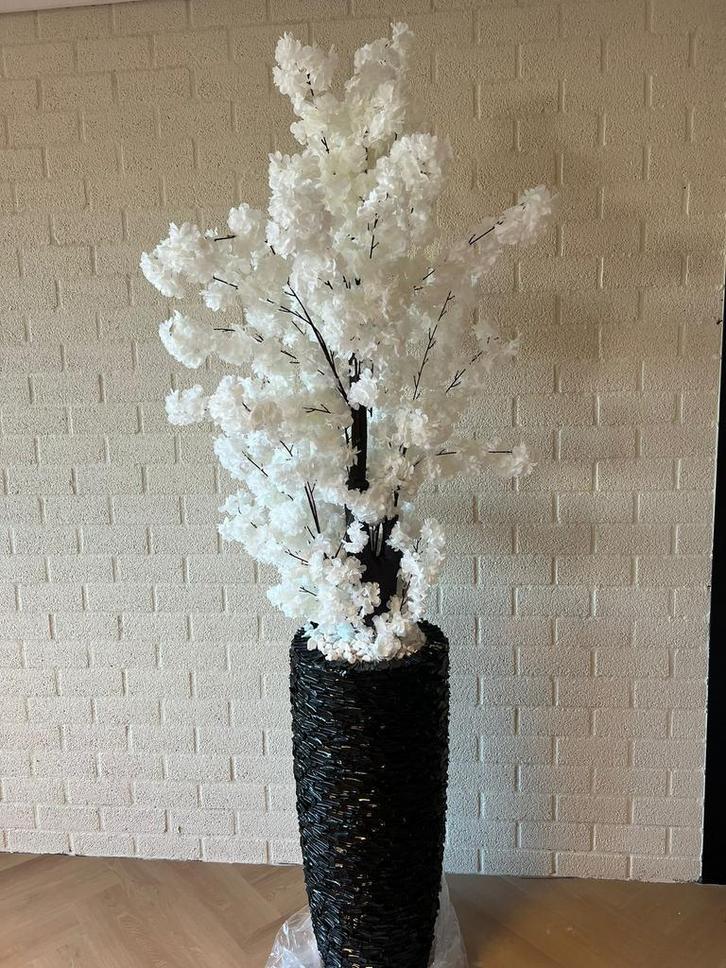Schelpenvazen met bloesemboom, Huis en Inrichting, Woonaccessoires | Kunstplanten en Kunstbloemen, Zo goed als nieuw, Ophalen of Verzenden