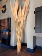 Vaas met pampaspluimen, Ophalen, Zo goed als nieuw