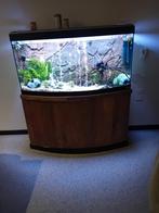 Juwel aquarium, Ophalen, Verlichting of Verwarming