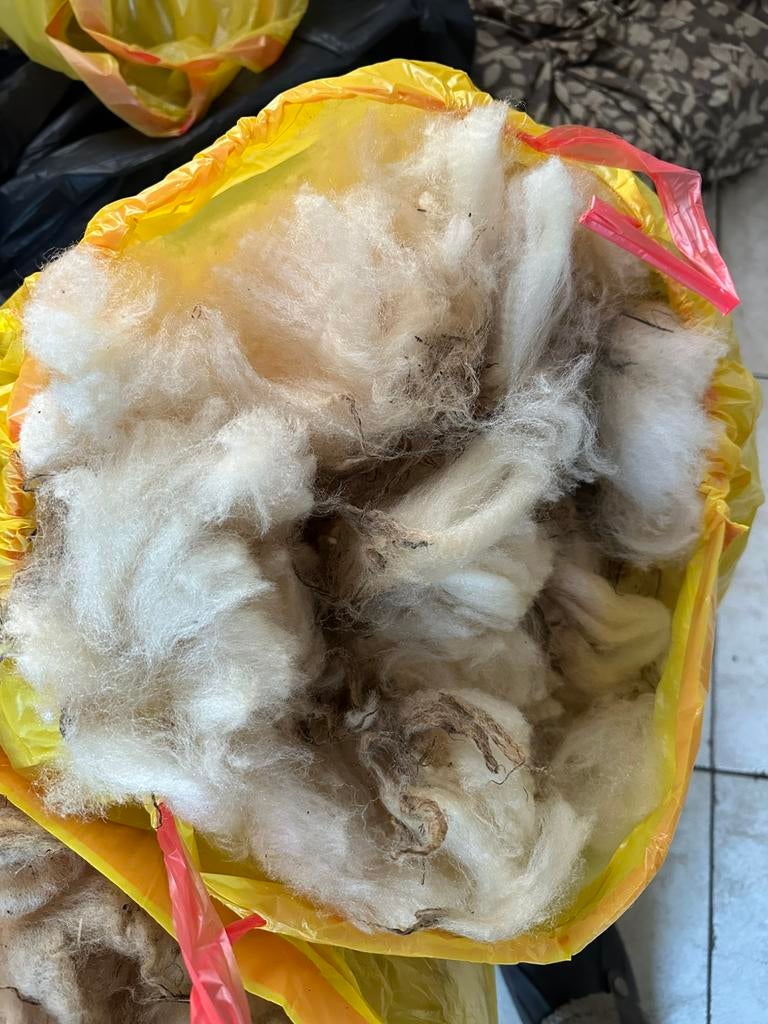 Superzachte lamswol Fries Melkschaap, Hobby en Vrije tijd, Ophalen of Verzenden, Zo goed als nieuw, Spinwol