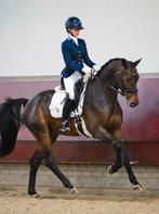 Juulc jasje maat 34 blauw +plastron+speld, Dieren en Toebehoren, Ophalen of Verzenden, Zo goed als nieuw, Dressuur, Bovenkleding