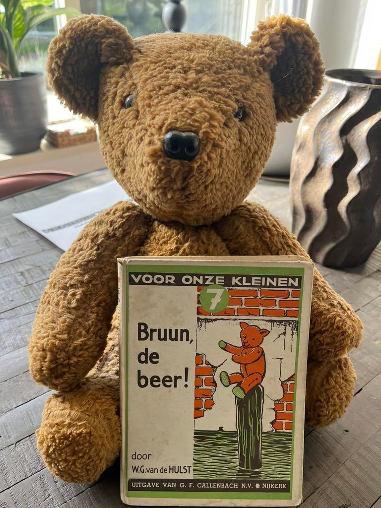 Bruine beer + boekje, Ophalen, Gebruikt, Stoffen beer, Overige merken