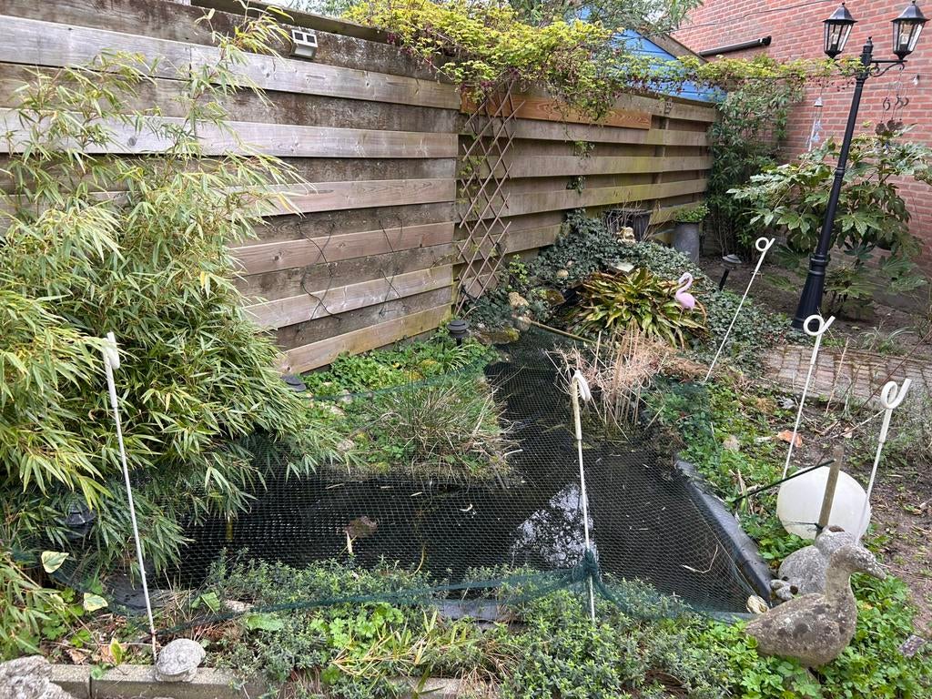 Vijver inclusief toebehoren, Tuin en Terras, Vijvers, Gebruikt, Ophalen