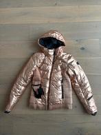 Brunotti Sega jas XS, Ophalen of Verzenden, Zo goed als nieuw, Maat 34 (XS) of kleiner, Jack