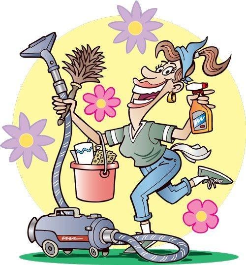 Huishoudelijk hulp aangeboden! Opruimcoach/Schoonmaak., Wassen