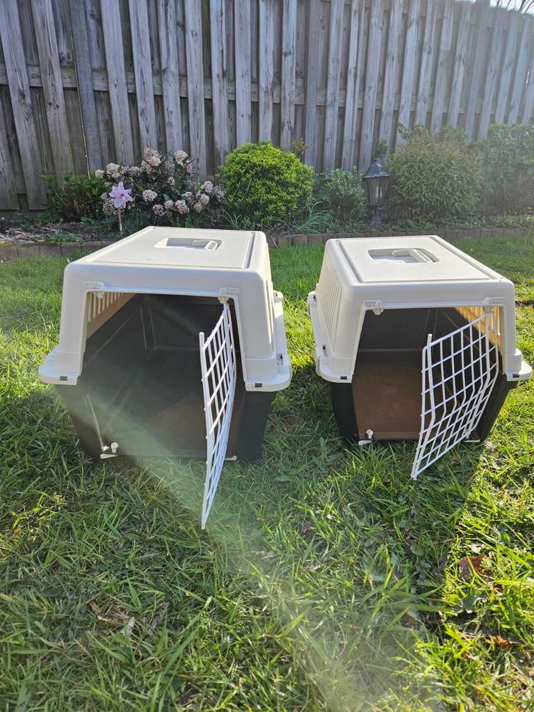 Dieren (katten) reis mand/koffer, Dieren en Toebehoren, Ophalen of Verzenden