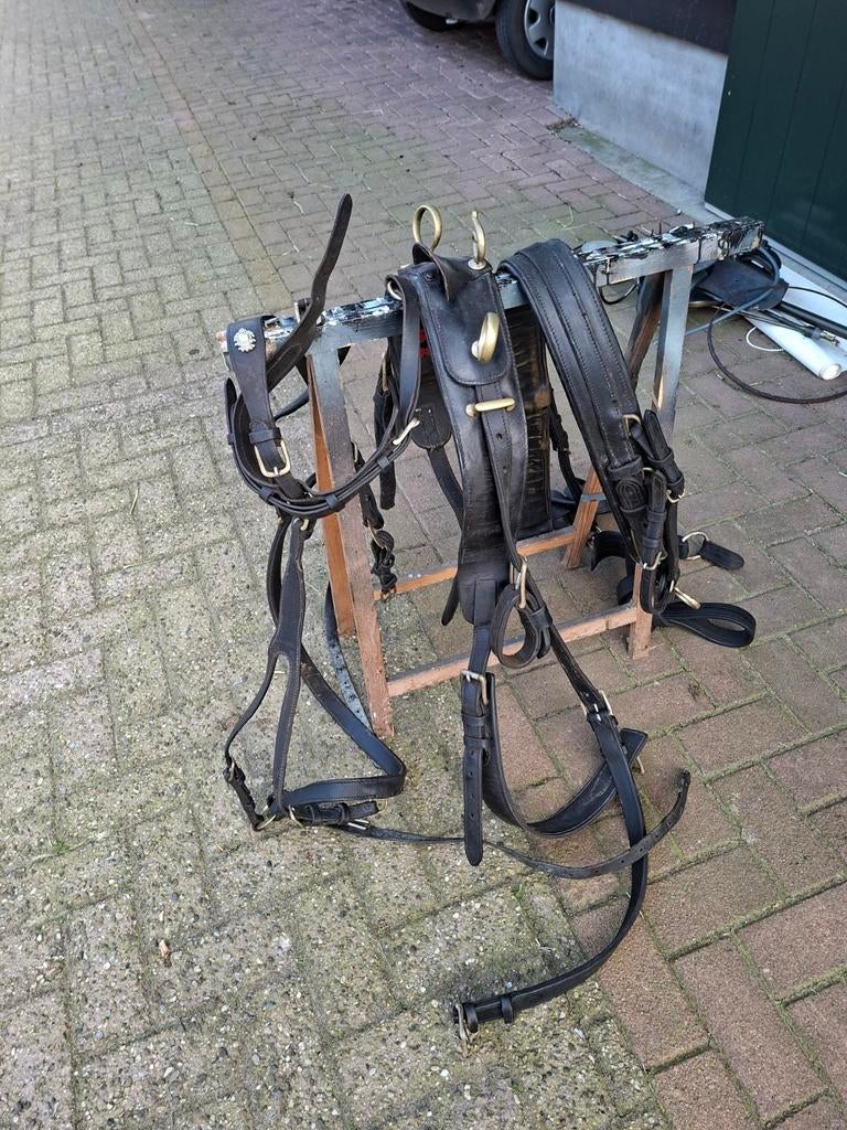 Lederen paardentuig, Dieren en Toebehoren, Paarden en Pony's | Hoofdstellen en Tuigage, Ophalen of Verzenden, Gebruikt