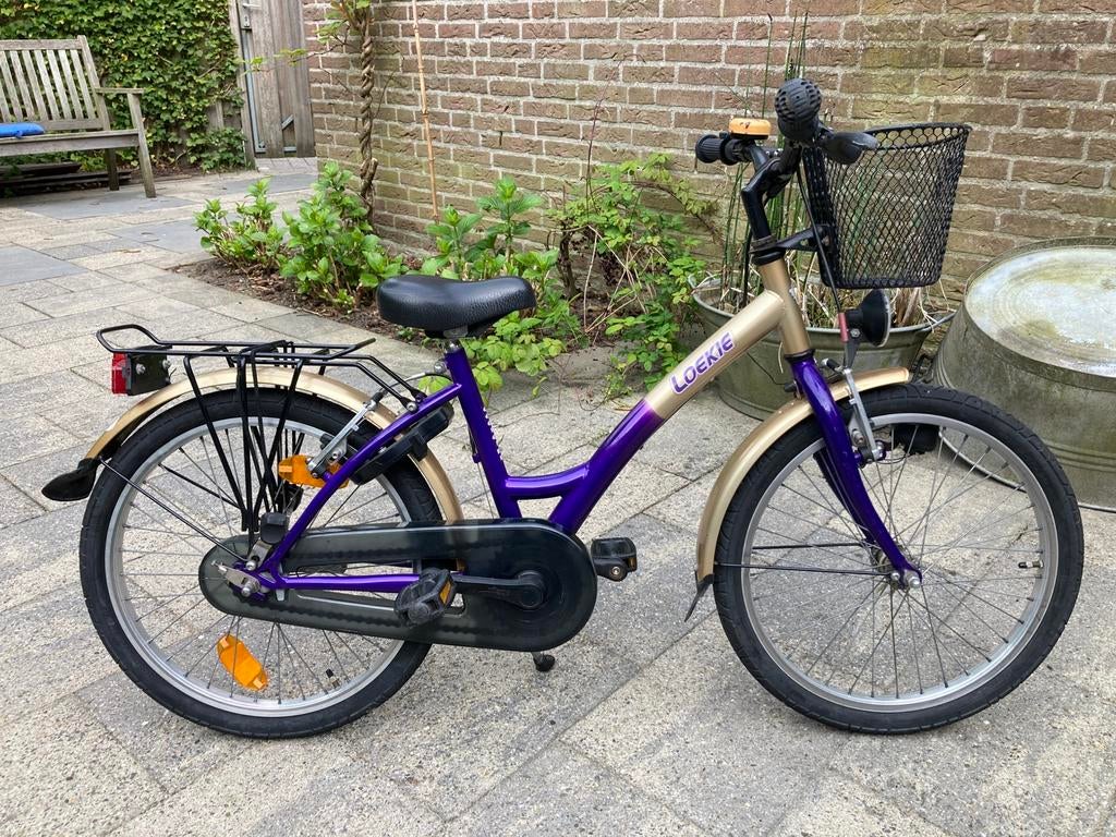 Loeki meisjesfiets Coolgirl 20 inch wielen, Fietsen en Brommers, Fietsen | Meisjes, Terugtraprem, Gebruikt, Loekie, Ophalen of Verzenden