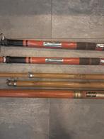 Strand telescoop hengels 5 550cm, Watersport en Boten, Hengelsport | Zeevissen, Ophalen of Verzenden, Gebruikt