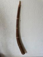 Midwinterhoorn ter decoratie, Ophalen, Gebruikt