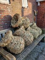 Eendenkorf, eendenkorven., Ophalen, Nieuw, Hout, Vogelkooi