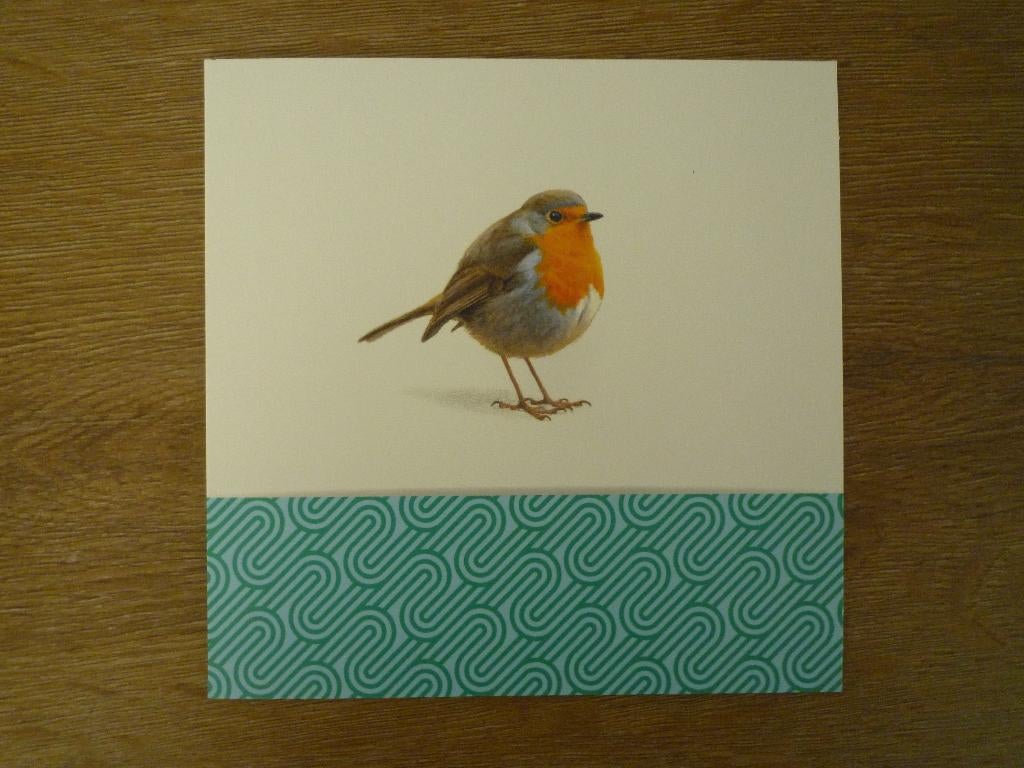 Roodborstje vogels vogelbescherming, Ophalen of Verzenden, Voor 1920, Vogel