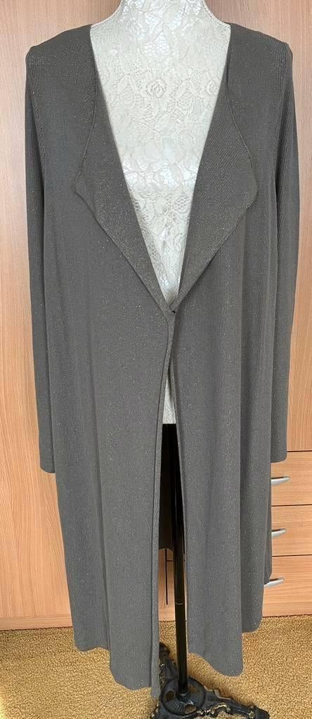 Monari lang vest maat 46 [v], Ophalen of Verzenden, Zo goed als nieuw, Maat 46/48 (XL) of groter, Overige kleuren