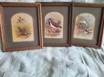 3 vintage schilderijtjes met afbeeldingen vogels, Ophalen of Verzenden