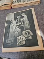 Sinterklaas en zwarte piek reclame swan zakdoeken 1951, Diversen, Ophalen