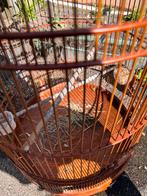Houten Kooi - Nieuwwaarde 200 euro - NU 90 euro meeneem., Ophalen, Zo goed als nieuw, Hout, Vogelkooi