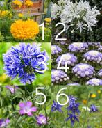 Biologische bloemzaden, Ophalen of Verzenden, Volle zon