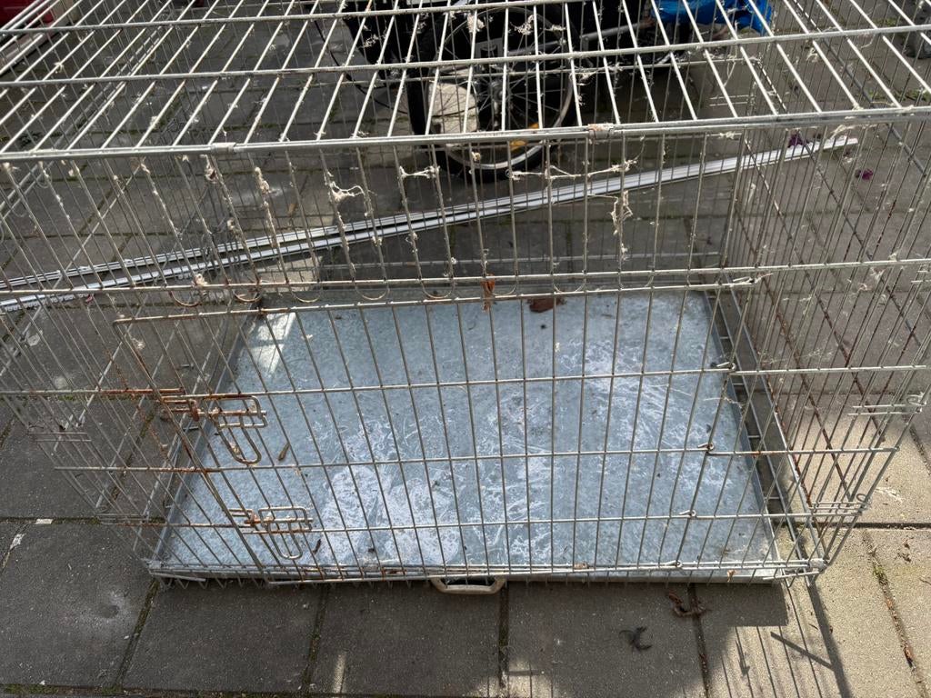 Gratis op te halen grote benge, Ophalen, Zo goed als nieuw, 110 cm of meer