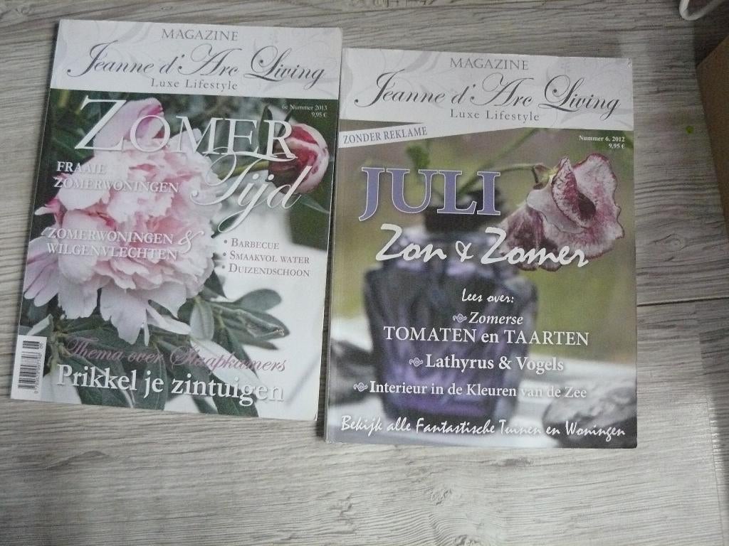 Jeanne D"Arc Living 2 x, Ophalen of Verzenden, Zo goed als nieuw, Damesbladen