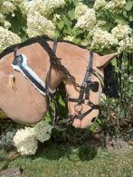 Adw hobby horse, Ophalen of Verzenden