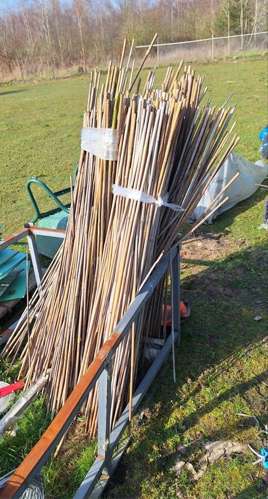 Gebruikte bamboestokken, Ophalen of Verzenden, Gebruikt, Palen