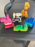 Duplo diertjes maken 10573, Ophalen of Verzenden, Complete set, Duplo