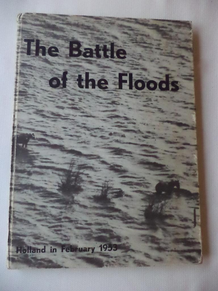 De RAMP in Engels: The Battle of the Floods, watersnood 1953, Boeken, Geschiedenis | Vaderland, Ophalen of Verzenden, Zo goed als nieuw