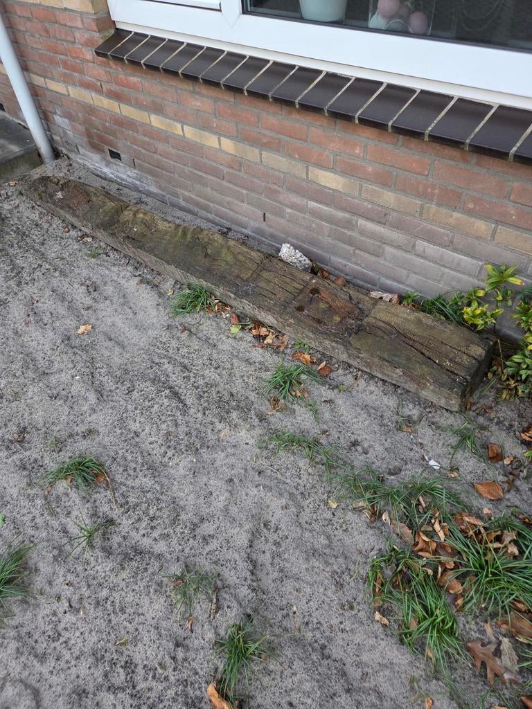 Biels, Tuin en Terras, Bielzen en Borders, Ophalen, Minder dan 100 cm, Minder dan 25 cm