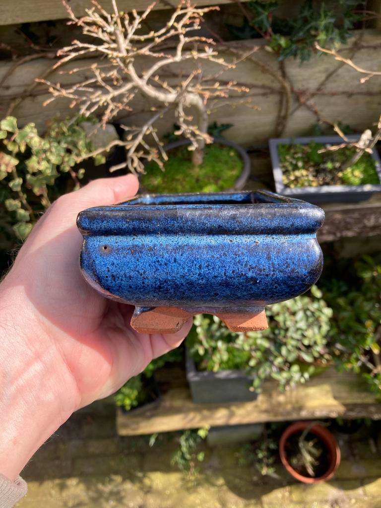 Rechthoekige Bonsai Pot - Blauw Geglazuurd, Ophalen, Steen, Minder dan 30 cm, Minder dan 60 cm