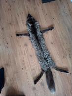 Mooie opgezette zilvervos huid vos met klauwen taxidermie, Ophalen of Verzenden, Gebruikt, Overige soorten, Opgezet dier