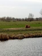 Leuke studio voor 1 persoon per direct te huur!, 20 tot 35 m², Amsterdam