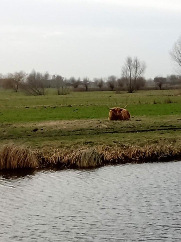 Leuke studio voor 1 persoon per direct te huur!, Huizen en Kamers, Kamers te huur, Amsterdam, 20 tot 35 m²