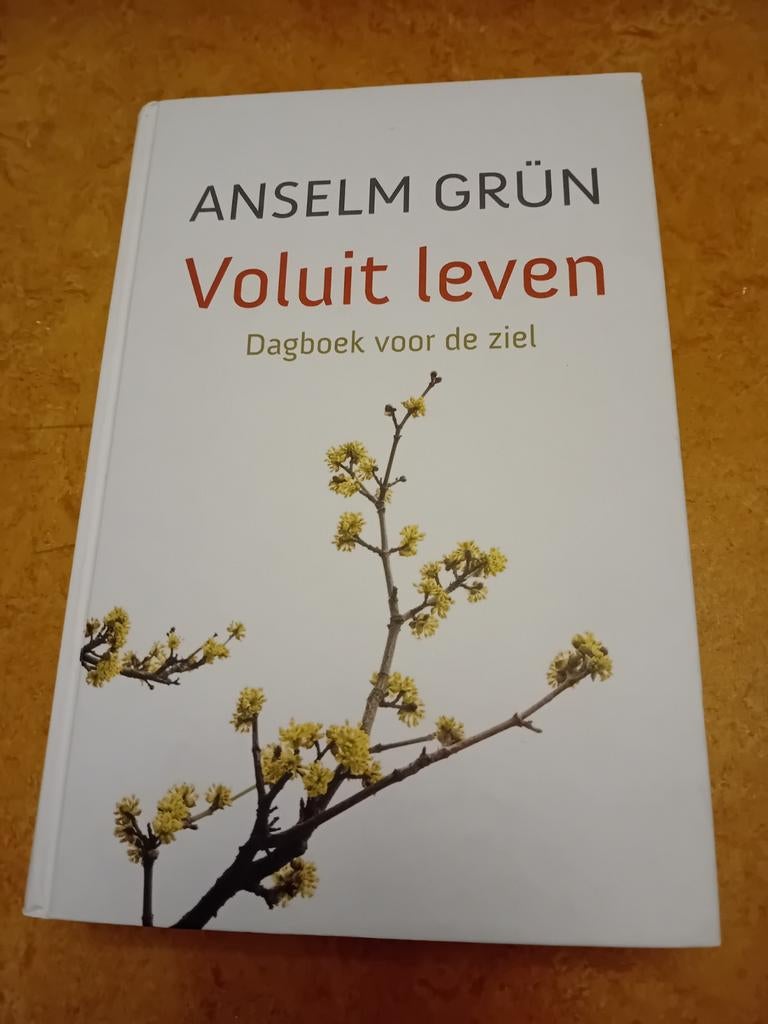 Anselm Grün - Voluit leven, Boeken, Gelezen, Achtergrond en Informatie, Spiritualiteit algemeen, Ophalen of Verzenden