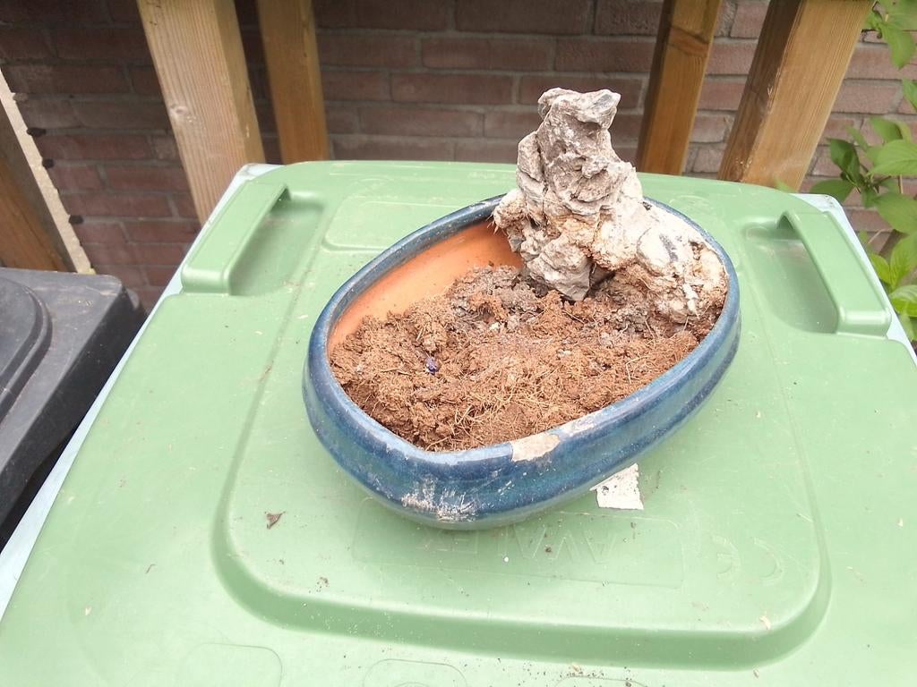 Bonsaipot, Ophalen, Rond, Minder dan 30 cm