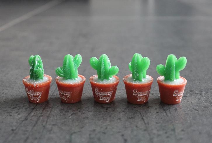 Plant cactus plantje in pot miniatuur nieuw 1:12 - Model 3, Verzamelen, Poppenhuizen en Toebehoren, Nieuw, Decoratie, Ophalen of Verzenden