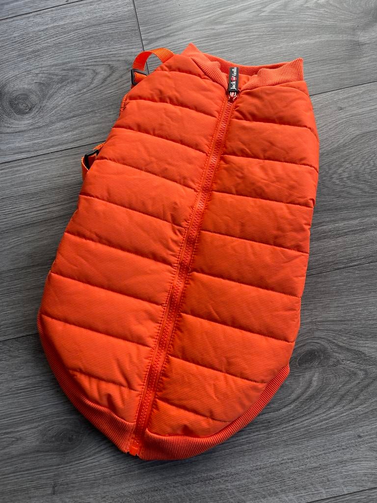 Jack and Vanilla Hondenjas met harnas XL 45 Cm, Ophalen of Verzenden, Zo goed als nieuw, Hondenjas