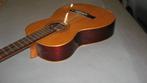 Gitaar, Ophalen, Gebruikt, Overige typen