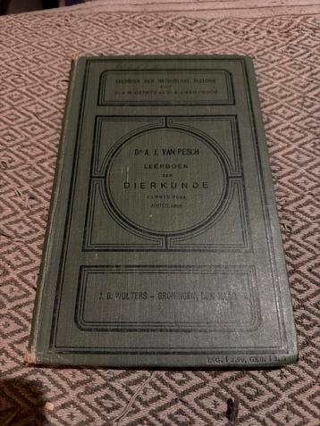 Oud Leerboek Dierkunde - Dr. A.J. van Pesch beschikbaar voor biedingen