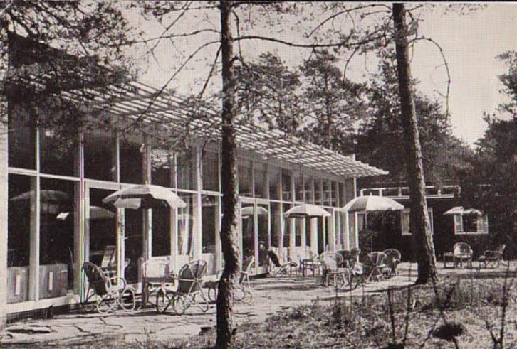 Zeist, Henri Dunanthuis, Verzamelen, Ansichtkaarten | Nederland, Gelopen, Utrecht, Ophalen of Verzenden