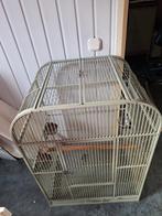 Pappegaaienkooi, Dieren en Toebehoren, Vogels | Hokken en Kooien, Ophalen, Zo goed als nieuw, Metaal, Vogelkooi